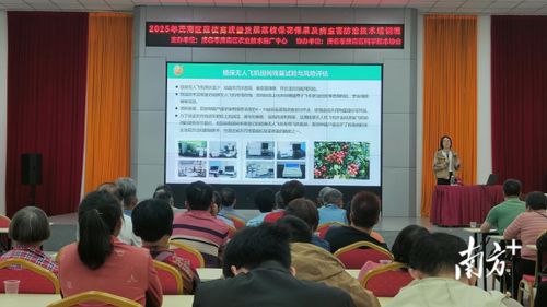 專(zhuān)家支招助力產(chǎn)業(yè)發(fā)展，茂南舉辦荔枝產(chǎn)業(yè)技術(shù)培訓(xùn)班